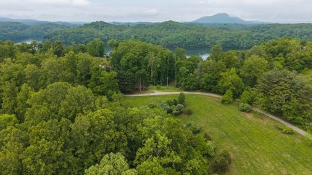 Offering #3 - Building Site with Water Access at Claytor Lake - image 6