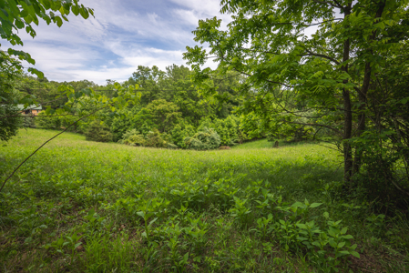 Offering #3 - Building Site with Water Access at Claytor Lake - image 15