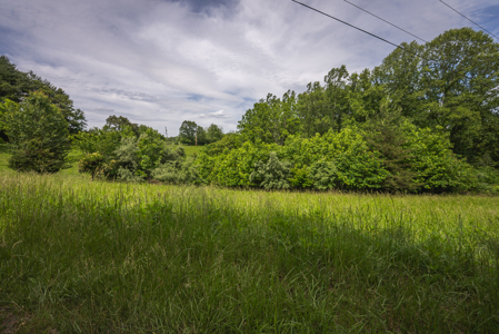 Offering #3 - Building Site with Water Access at Claytor Lake - image 12