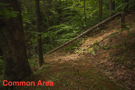 Offering #3 - Building Site with Water Access at Claytor Lake - image 25