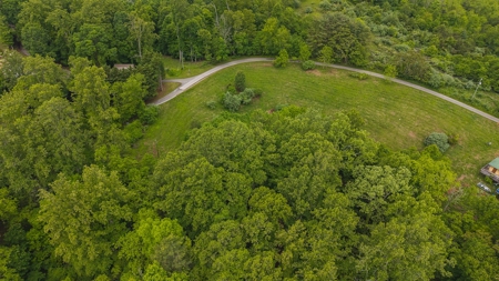 Offering #3 - Building Site with Water Access at Claytor Lake - image 7