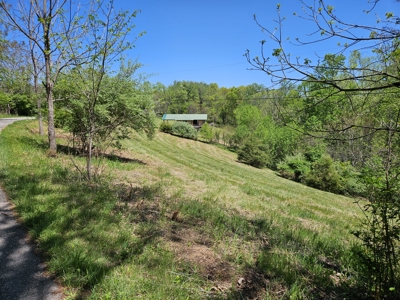 Offering #3 - Building Site with Water Access at Claytor Lake - image 8