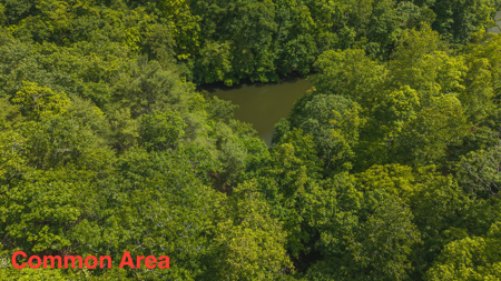 Offering #3 - Building Site with Water Access at Claytor Lake - image 19