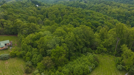 Offering #3 - Building Site with Water Access at Claytor Lake - image 4
