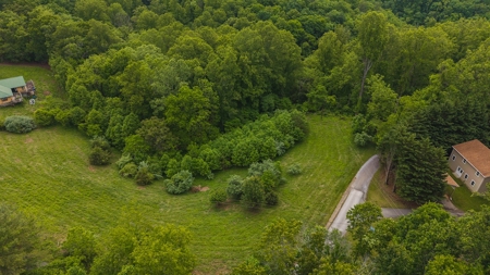 Offering #3 - Building Site with Water Access at Claytor Lake - image 2