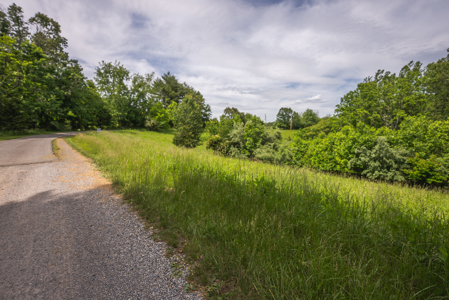 Offering #3 - Building Site with Water Access at Claytor Lake - image 13