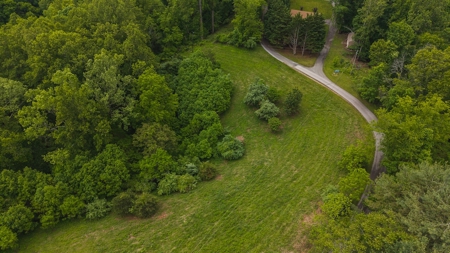 Offering #3 - Building Site with Water Access at Claytor Lake - image 3