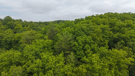 Offering #4 - Waterfront Building Site on Claytor Lake - image 5