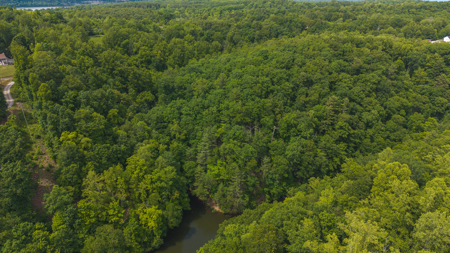 Offering #4 - Waterfront Building Site on Claytor Lake - image 9