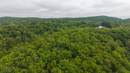 Offering #4 - Waterfront Building Site on Claytor Lake - image 2