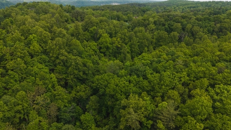 Offering #4 - Waterfront Building Site on Claytor Lake - image 3