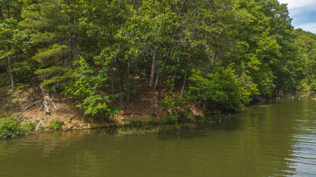 Offering #4 - Waterfront Building Site on Claytor Lake - image 7