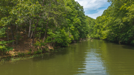 Offering #4 - Waterfront Building Site on Claytor Lake - image 8