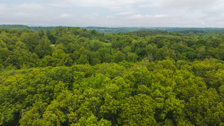 Offering #5 - Wooded Lakefront Lot for Sale - image 7
