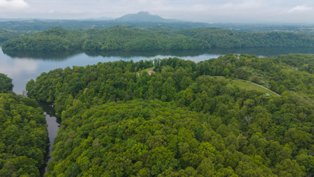 Offering #5 - Wooded Lakefront Lot for Sale - image 5