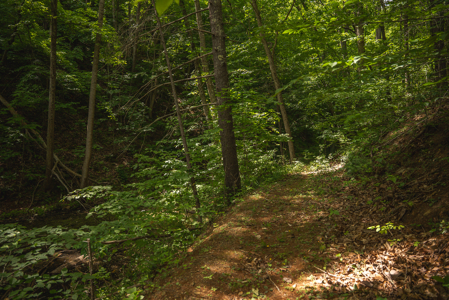 Offering #5 - Claytor Lake Waterfront Lake for Sale - image 13