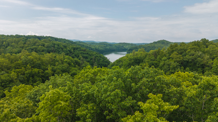Offering #5 - Wooded Lakefront Lot for Sale - image 2