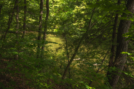 Offering #5 - Claytor Lake Waterfront Lake for Sale - image 12