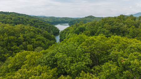 Offering #5 - Wooded Lakefront Lot for Sale - image 3