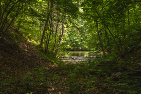 Offering #5 - Claytor Lake Waterfront Lake for Sale - image 15