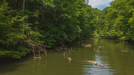 Offering #5 - Claytor Lake Waterfront Lake for Sale - image 9