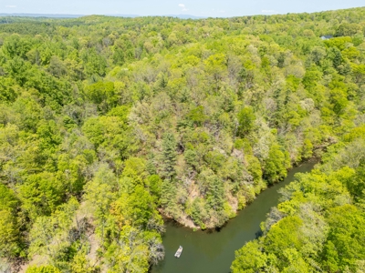 Offering #5 - Claytor Lake Waterfront Lake for Sale - image 8