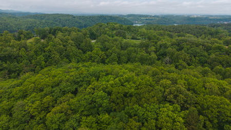 Offering #5 - Wooded Lakefront Lot for Sale - image 4