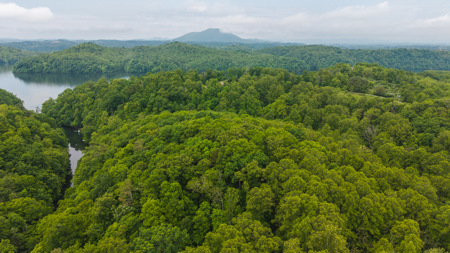 Offering #5 - Wooded Lakefront Lot for Sale - image 6