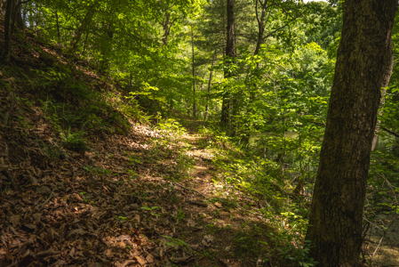 Offering #5 - Claytor Lake Waterfront Lake for Sale - image 14