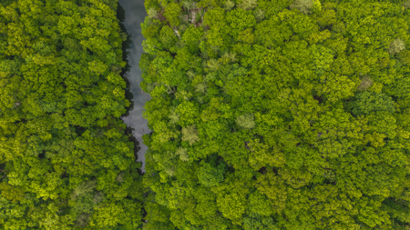 Offering #5 - Wooded Lakefront Lot for Sale - image 1