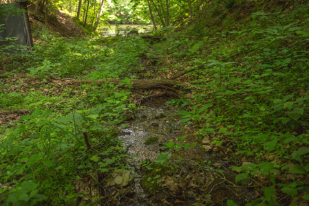 Offering #5 - Claytor Lake Waterfront Lake for Sale - image 17