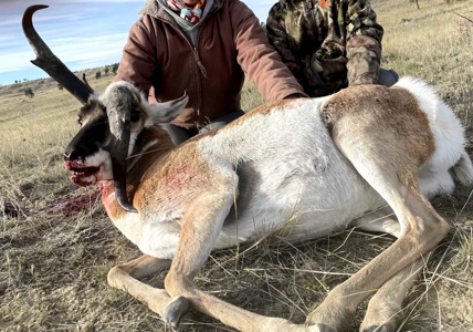 Scenic Montana Ranch with Elk, Deer & Trout Fishing - image 33