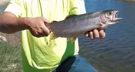 Scenic Montana Ranch with Elk, Deer & Trout Fishing - image 47