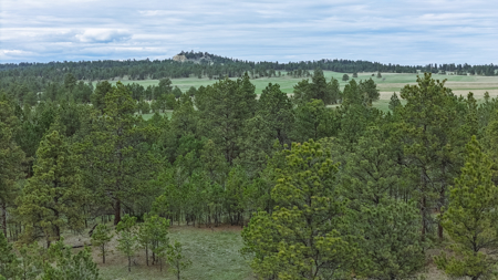 Scenic Montana Ranch with Elk, Deer & Trout Fishing - image 32