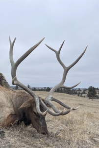 Scenic Montana Ranch with Elk, Deer & Trout Fishing - image 27