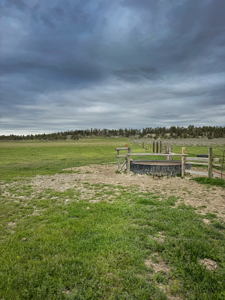 Scenic Montana Ranch with Elk, Deer & Trout Fishing - image 20