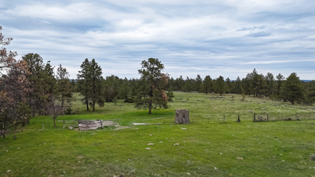 Scenic Montana Ranch with Elk, Deer & Trout Fishing - image 23