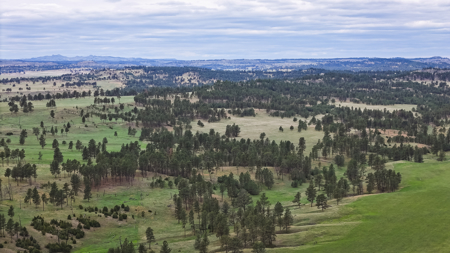 Scenic Montana Ranch with Elk, Deer & Trout Fishing - image 31