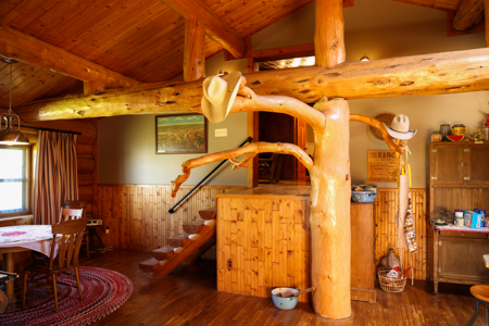 Scenic Montana Ranch with Elk, Deer & Trout Fishing - image 38