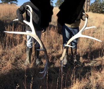 Scenic Montana Ranch with Elk, Deer & Trout Fishing - image 25