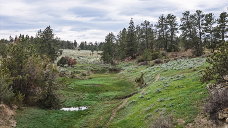 Scenic Montana Ranch with Elk, Deer & Trout Fishing - image 13