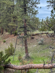 Scenic Montana Ranch with Elk, Deer & Trout Fishing - image 21