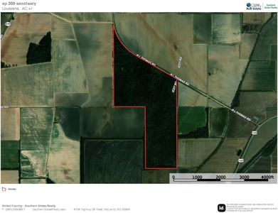 Hunting Land for Sale Morehouse Parish, LA - image 42