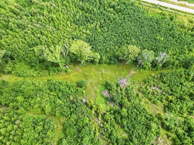 Hunting Land for Sale Morehouse Parish, LA - image 5