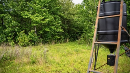 Hunting Land for Sale Morehouse Parish, LA - image 37