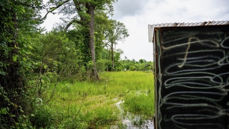 Hunting Land for Sale Morehouse Parish, LA - image 40