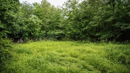 Hunting Land for Sale Morehouse Parish, LA - image 31