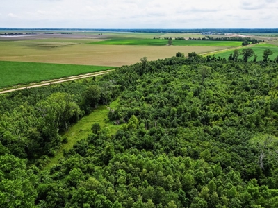 Hunting Land for Sale Morehouse Parish, LA - image 14