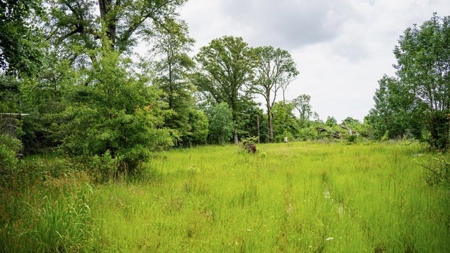 Hunting Land for Sale Morehouse Parish, LA - image 38