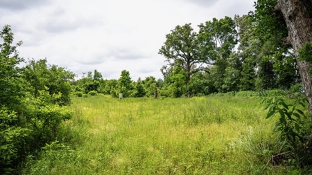 Hunting Land for Sale Morehouse Parish, LA - image 21
